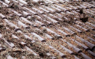 West Charleton roof cleaning companies