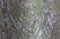 West Charleton fibreglass roof work